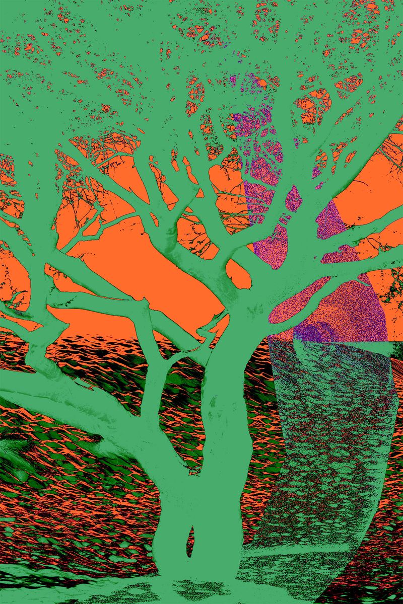 © Thasil Suhara Backer - Image from the Third Bodies: Unsettling Natures in Posthuman Ecologies photography project