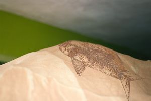 Third Bodies: Unsettling Natures in Posthuman Ecologies