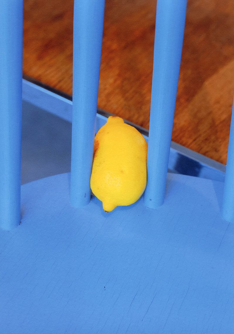 © Lieselot Hoedt - NL        Geperste citroenEN        Pressed lemon