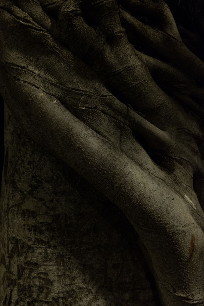 © Luana Rigolli - Image from the The arrusi's island, 1939 photography project