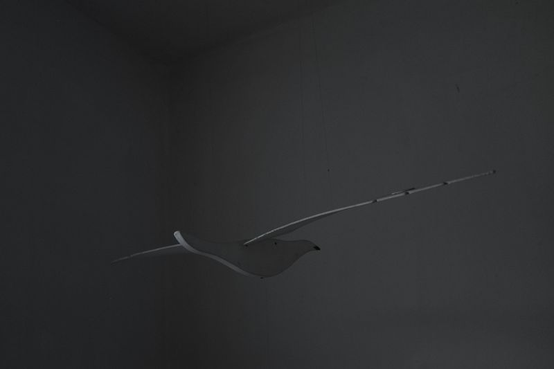 © Luana Rigolli - Image from the The arrusi's island, 1939 photography project