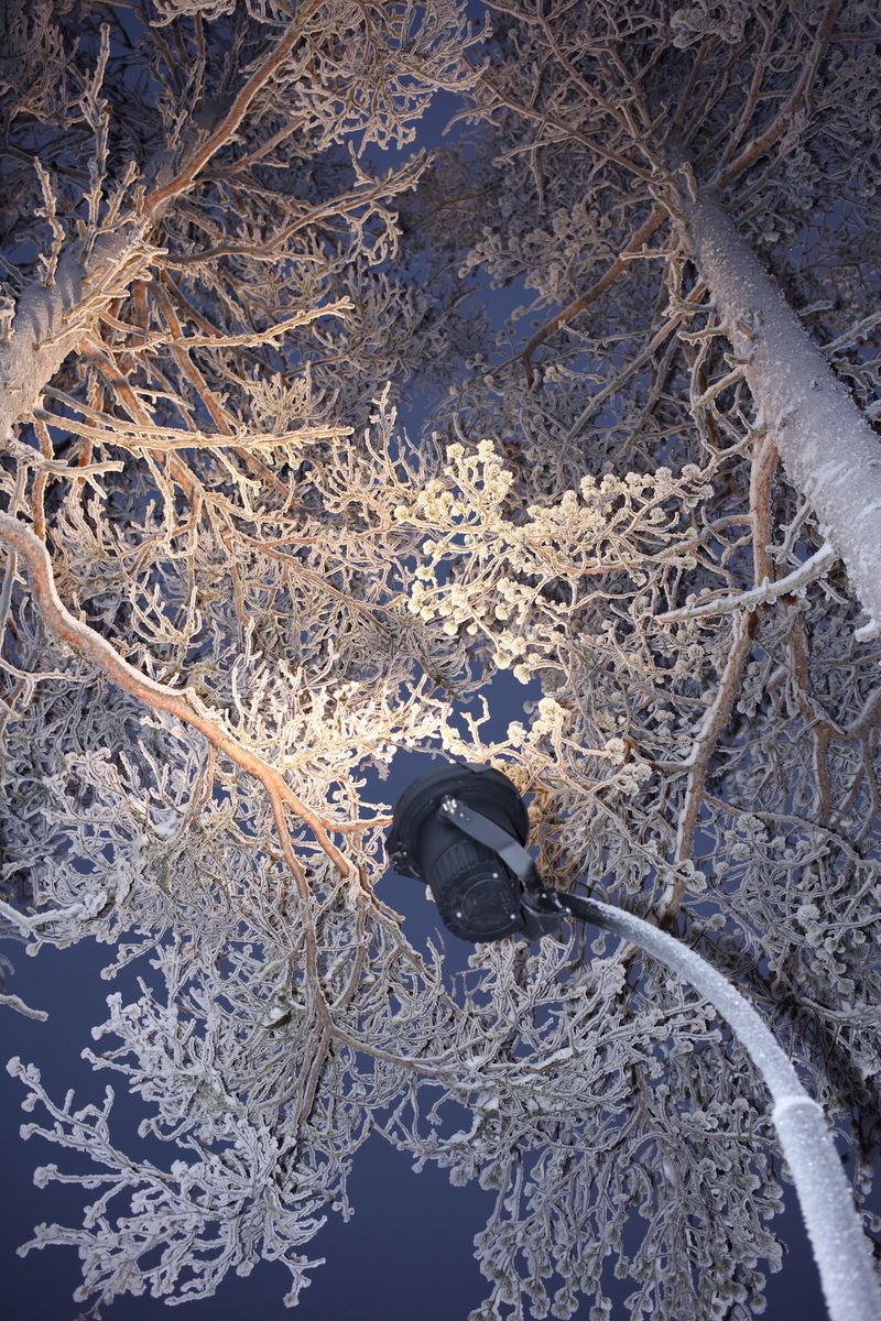 © Anna Hahoutoff - Image from the I Was following you and i lost myself photography project