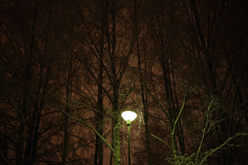 © Anna Hahoutoff - Image from the I Was following you and i lost myself photography project