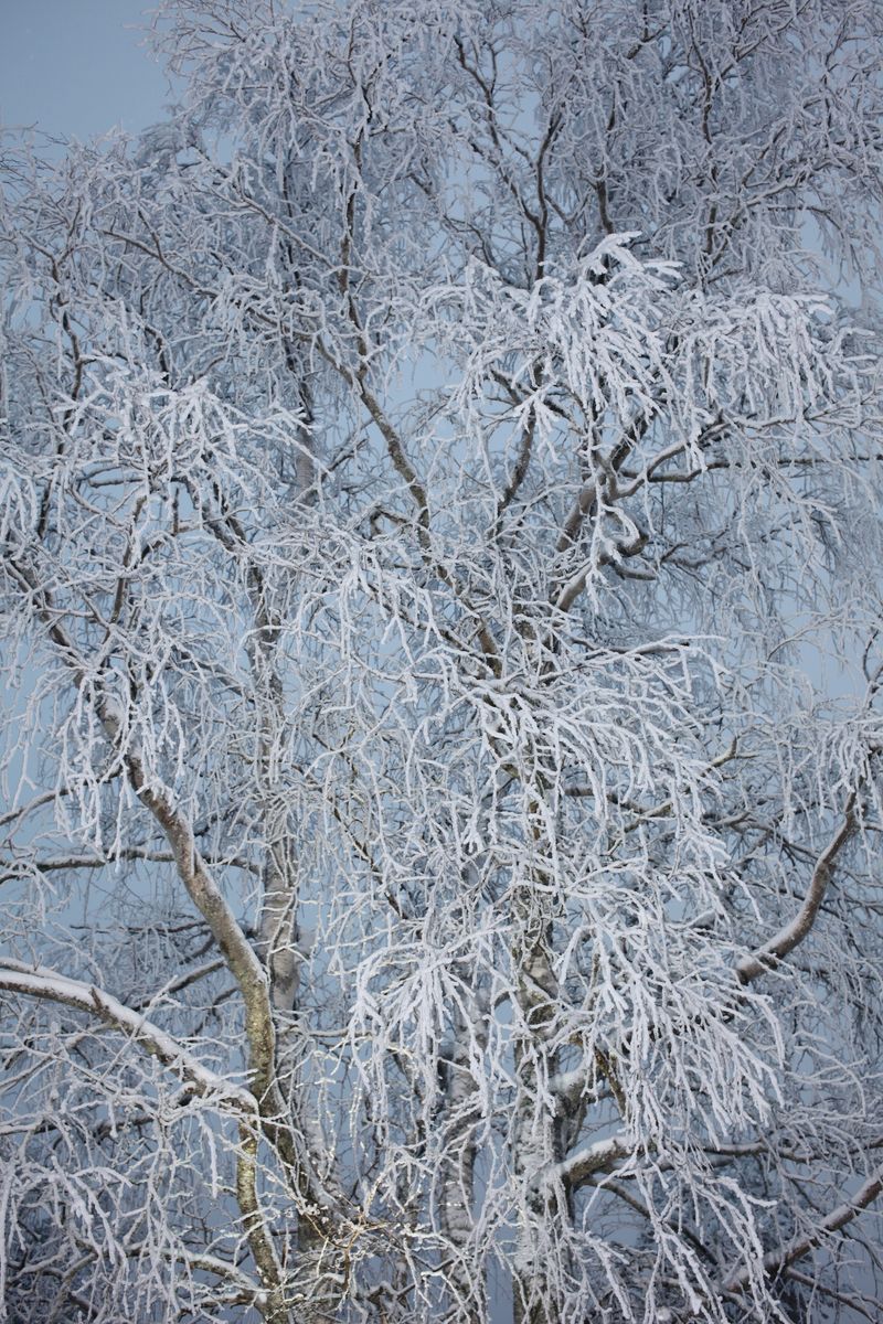 © Anna Hahoutoff - Image from the I Was following you and i lost myself photography project