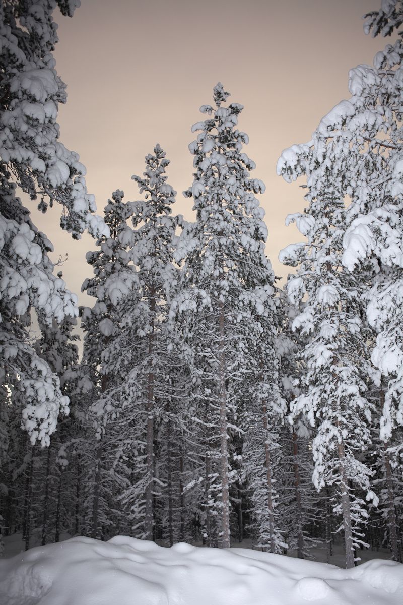 © Anna Hahoutoff - Image from the I Was following you and i lost myself photography project