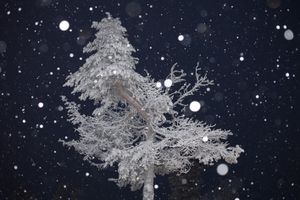 I Was following you and i lost myself