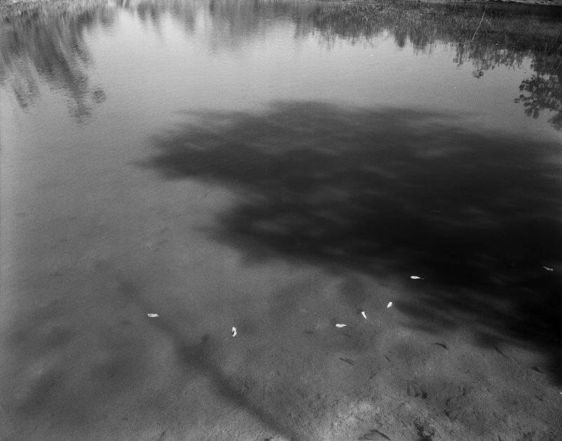 © Joe Reynolds - Image from the Cristalândia photography project