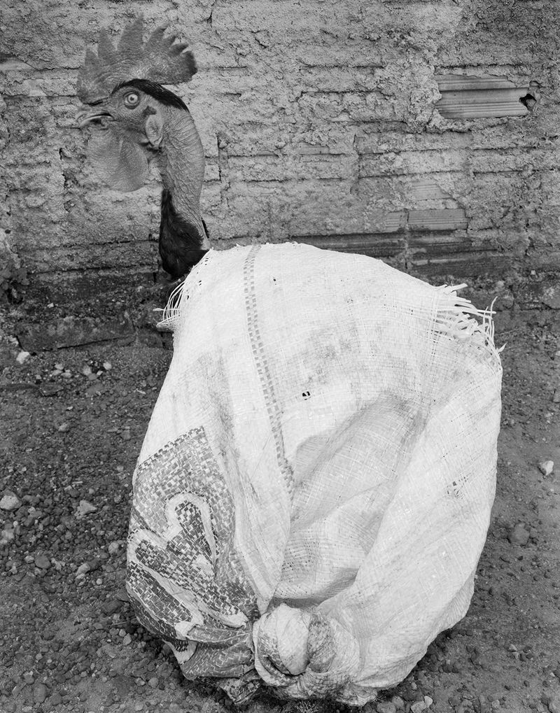 © Joe Reynolds - Image from the Cristalândia photography project