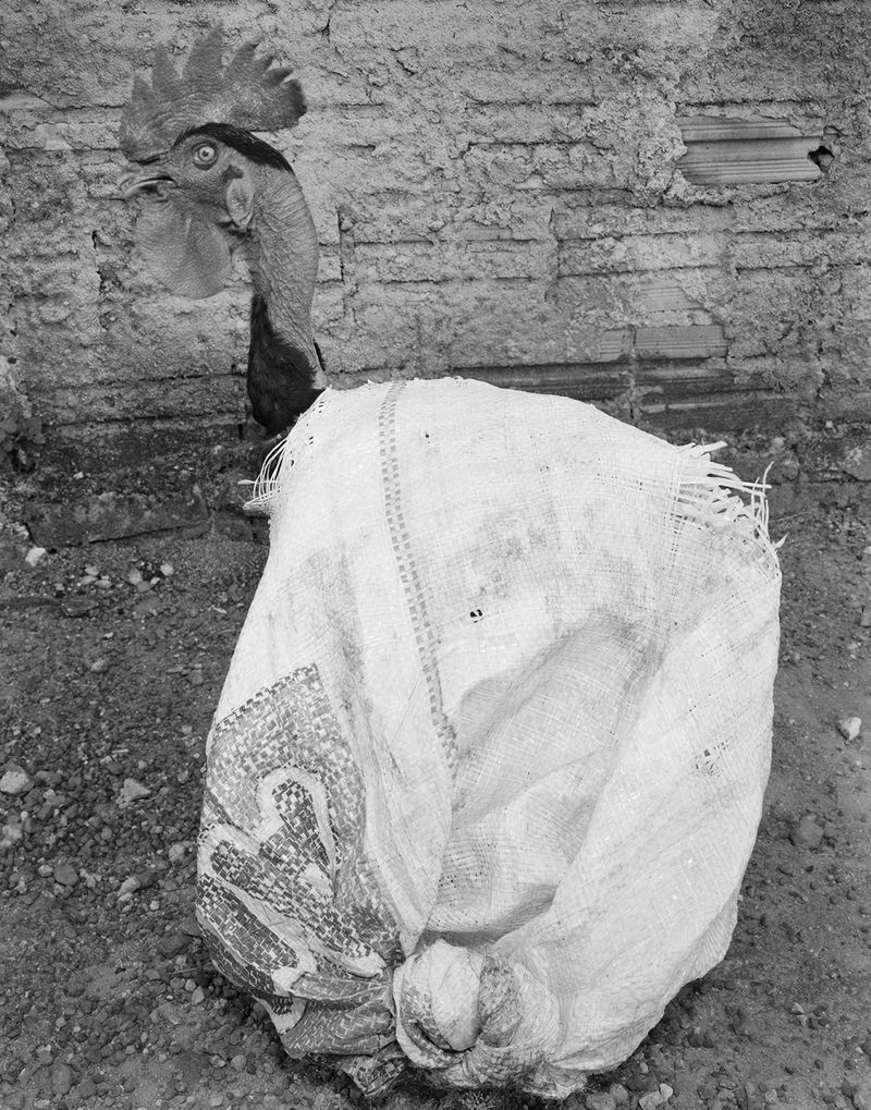 © Joe Reynolds - Image from the Cristalândia photography project