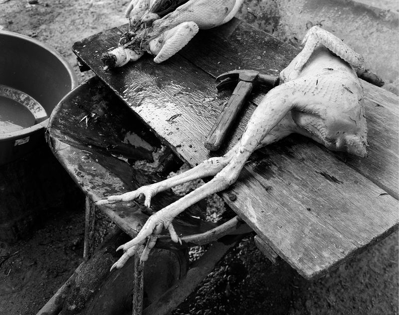 © Joe Reynolds - Image from the Cristalândia photography project