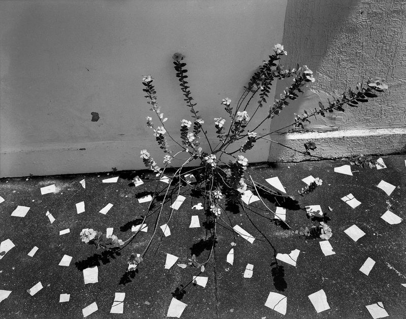 © Joe Reynolds - Image from the Cristalândia photography project