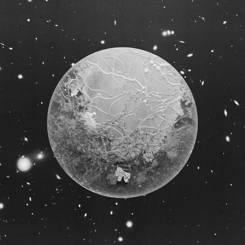 © Marco Castelli - Pizza, from the series A Micro Odyssey
