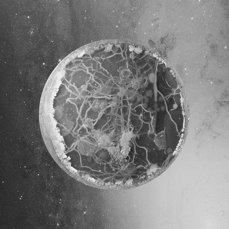 © Marco Castelli - River, from the series A Micro Odyssey