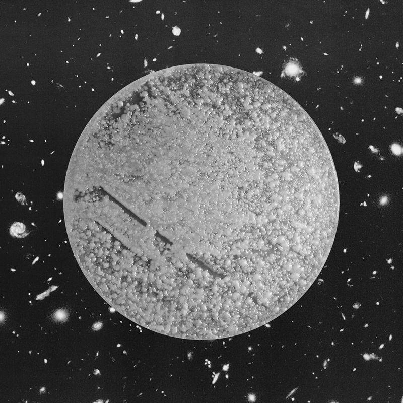 © Marco Castelli - Toothbrush, from the series A Micro Odyssey