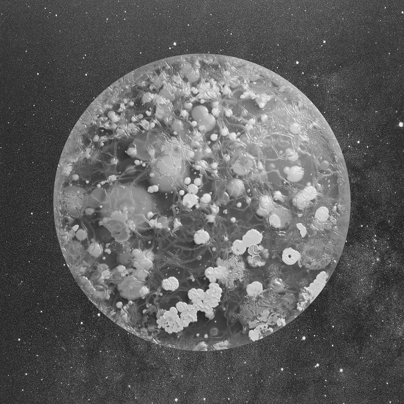 © Marco Castelli - Undershoe, from the series A Micro Odyssey
