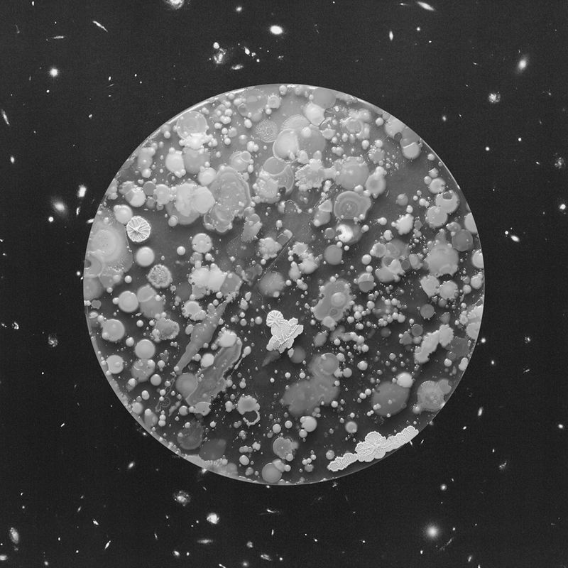 © Marco Castelli - Tire, from the series A Micro Odyssey