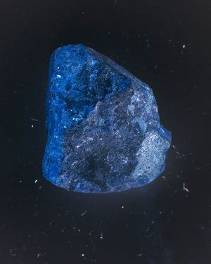 it flies, invisible - 2019