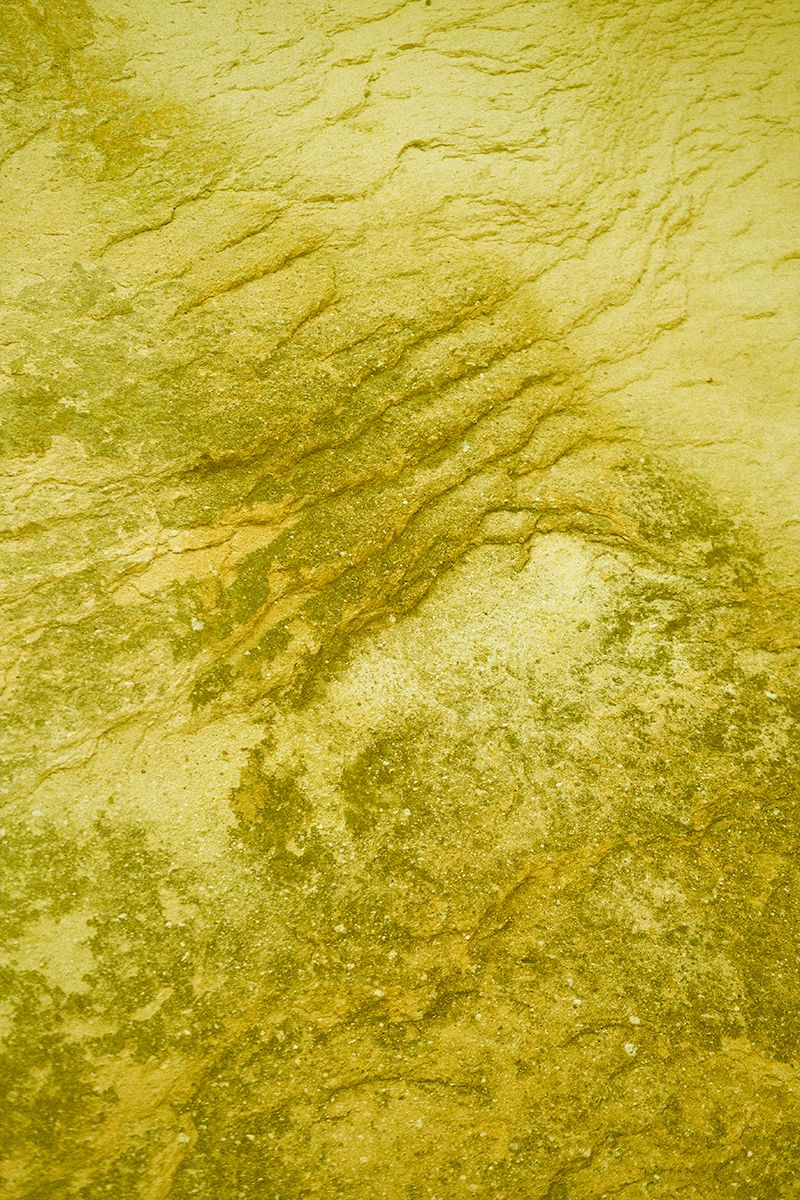 © Merve Terzi - Image from the it flies, invisible - 2019 photography project