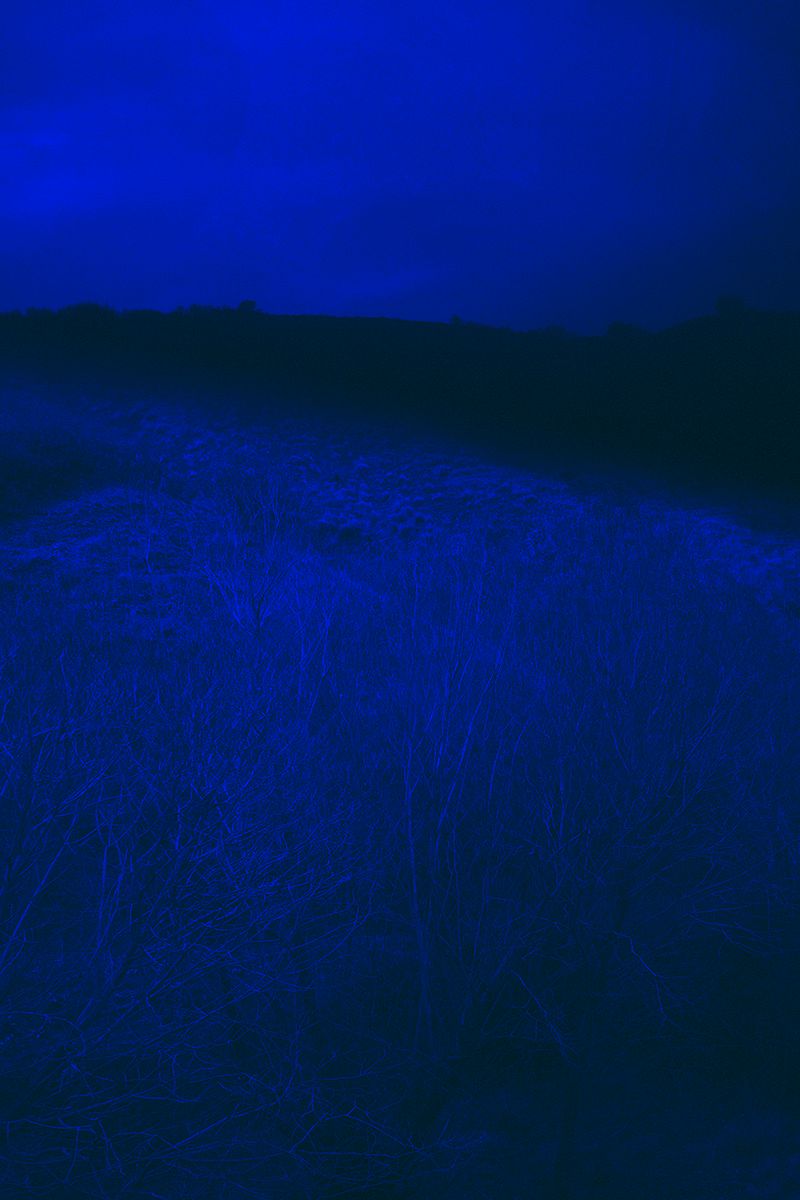 © Merve Terzi - Image from the it flies, invisible - 2019 photography project