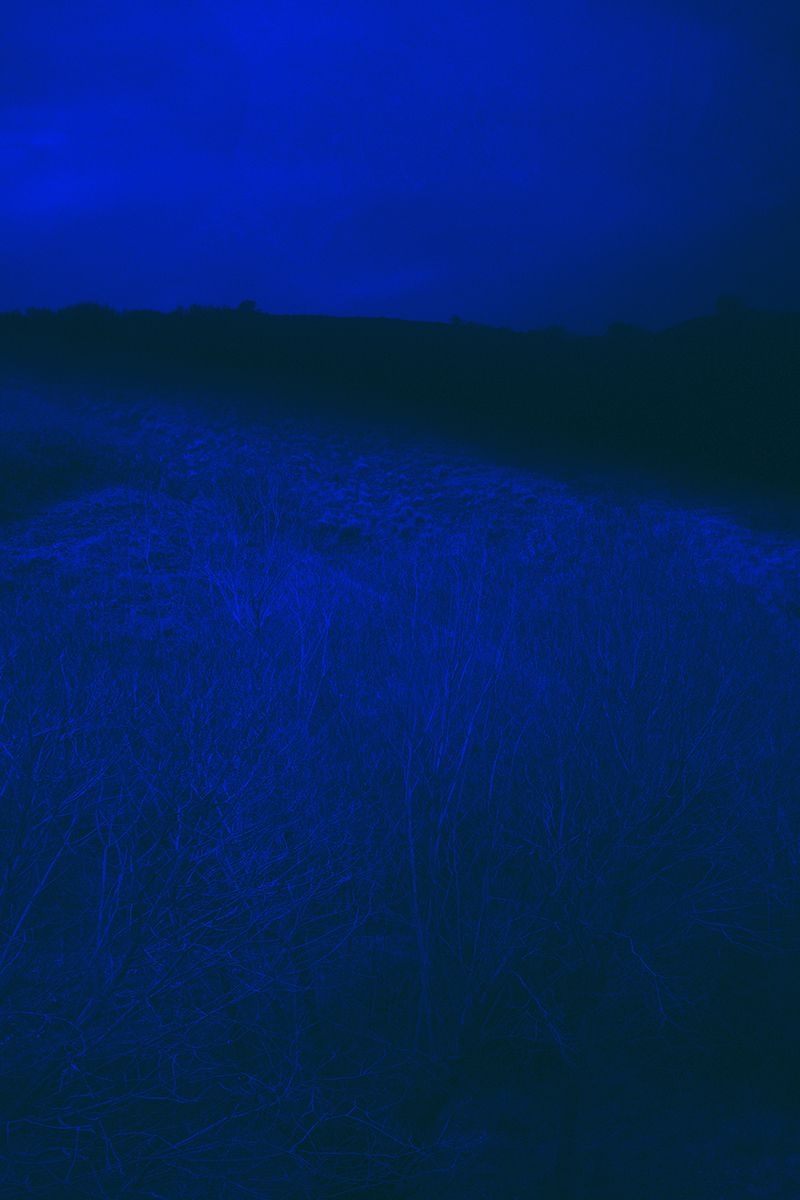 © Merve Terzi - Image from the it flies, invisible - 2019 photography project