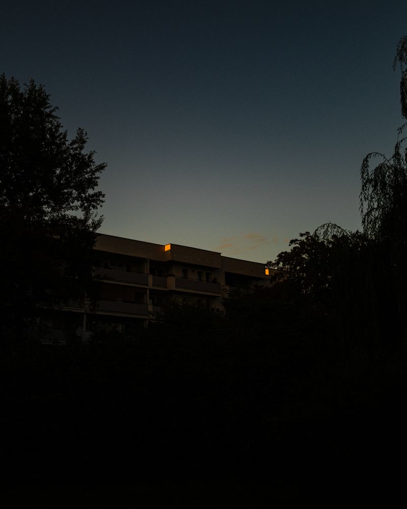 © Bartlomiej Muracki - Image from the By the Roots photography project