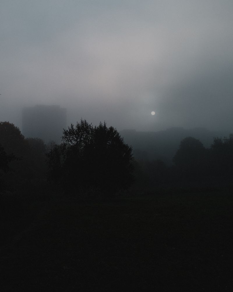 © Bartlomiej Muracki - Image from the By the Roots photography project