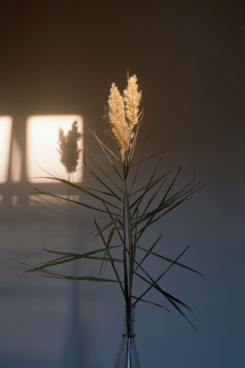 © Stefano Marchionini - Image from the Regrets photography project