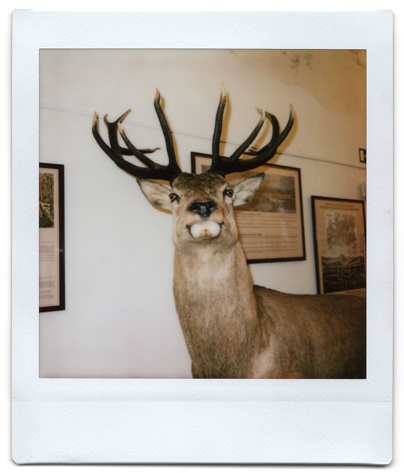 © Dominika Muszynska - Image from the Bogdan photography project