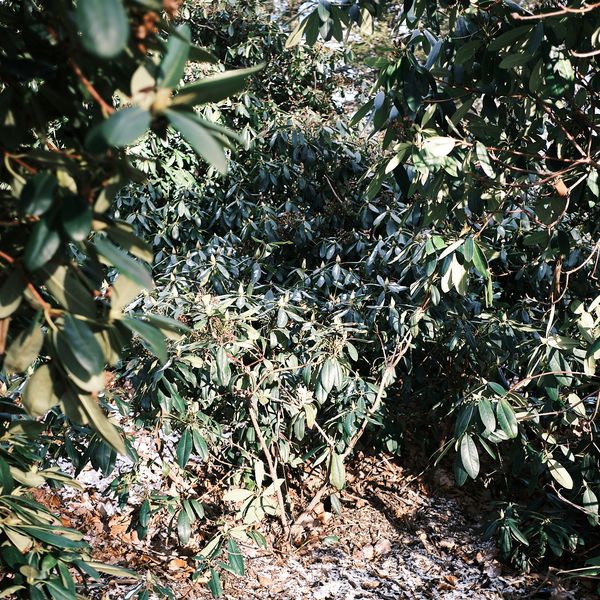 © Dominika Muszynska - Image from the Bogdan photography project