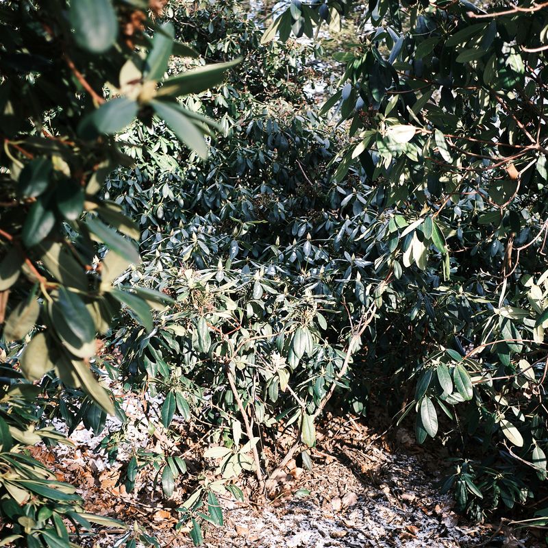 © Dominika Muszynska - Image from the Bogdan photography project