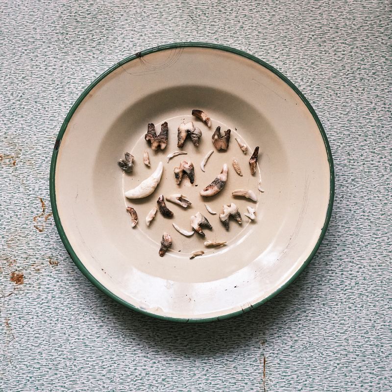 © Dominika Muszynska - Image from the Bogdan photography project