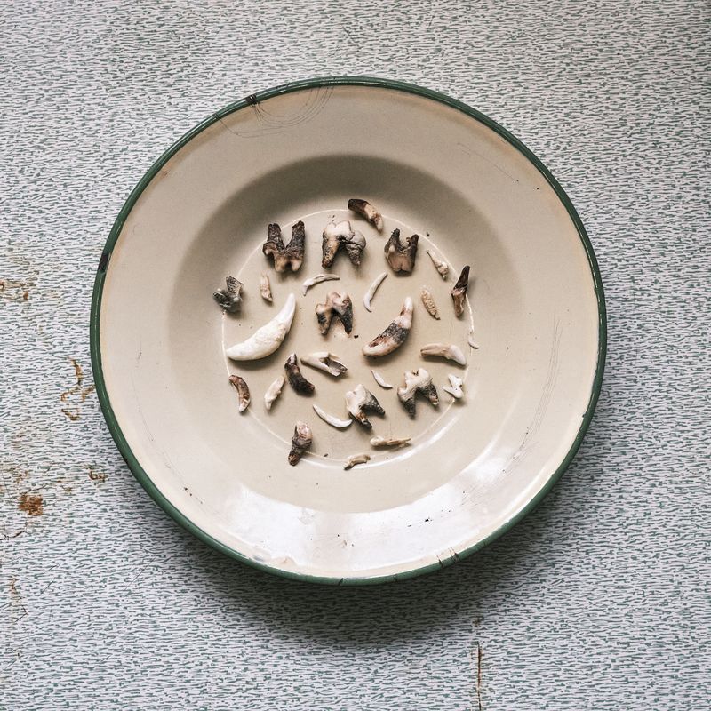 © Dominika Muszynska - Image from the Bogdan photography project