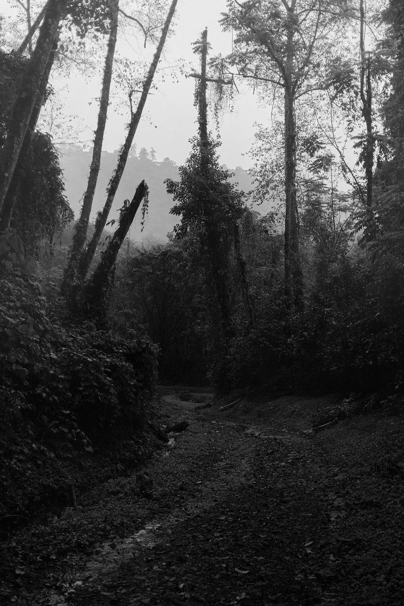© Allan Salas - Image from the The Rooted Heart Began To Change photography project