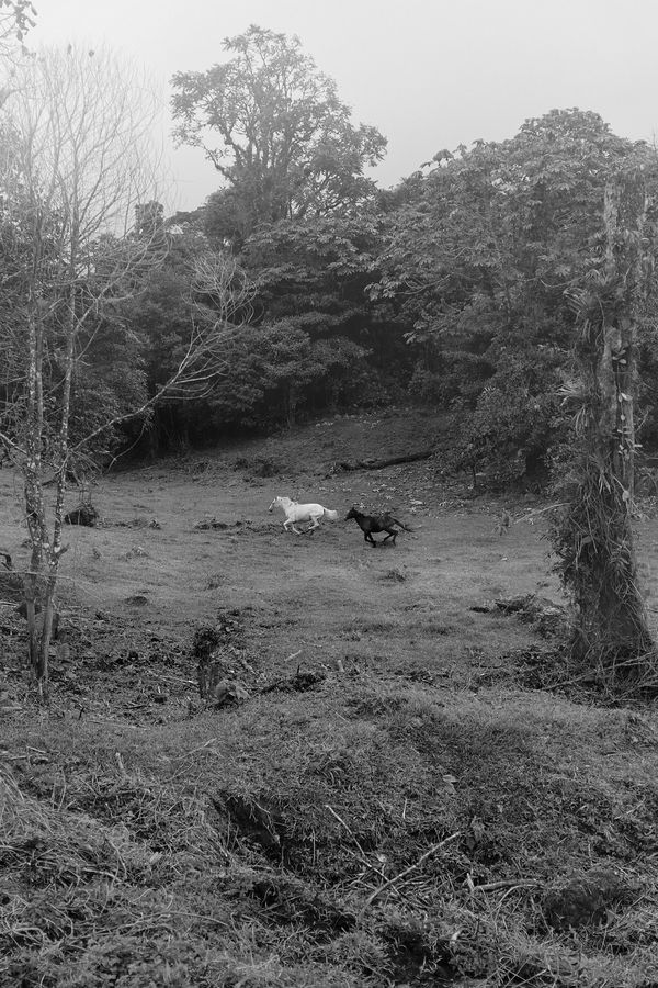 © Allan Salas - Image from the The Rooted Heart Began To Change photography project