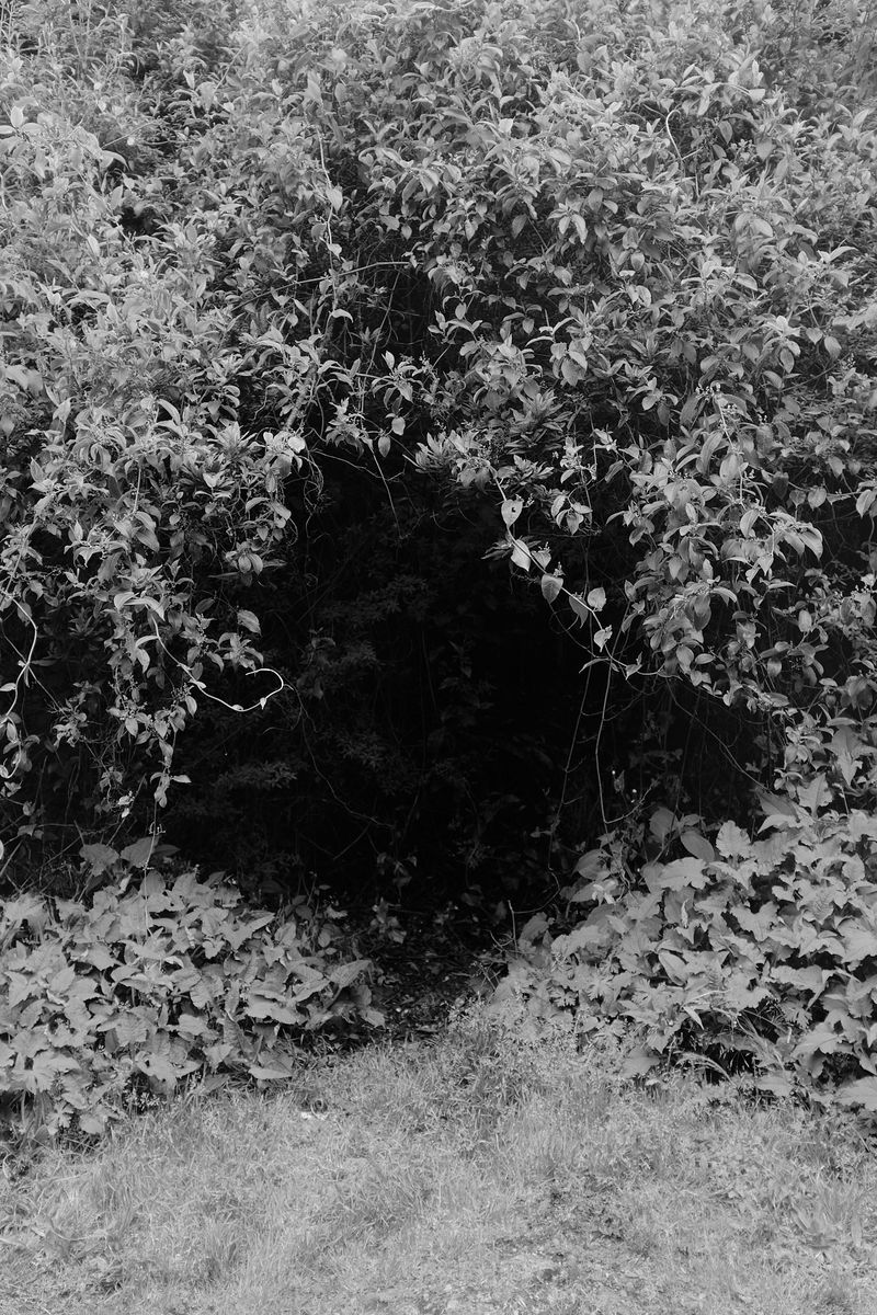 © Allan Salas - Image from the The Rooted Heart Began To Change photography project