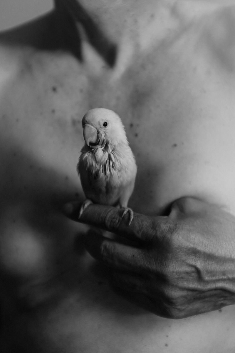 © Allan Salas - Image from the The Rooted Heart Began To Change photography project