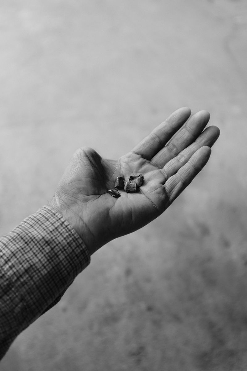 © Allan Salas - Image from the The Rooted Heart Began To Change photography project