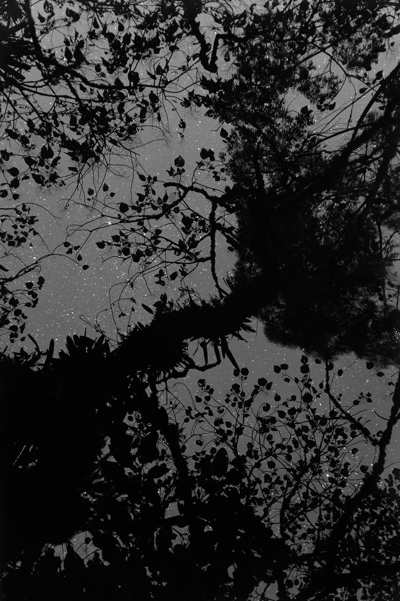 © Allan Salas - Image from the The Rooted Heart Began To Change photography project