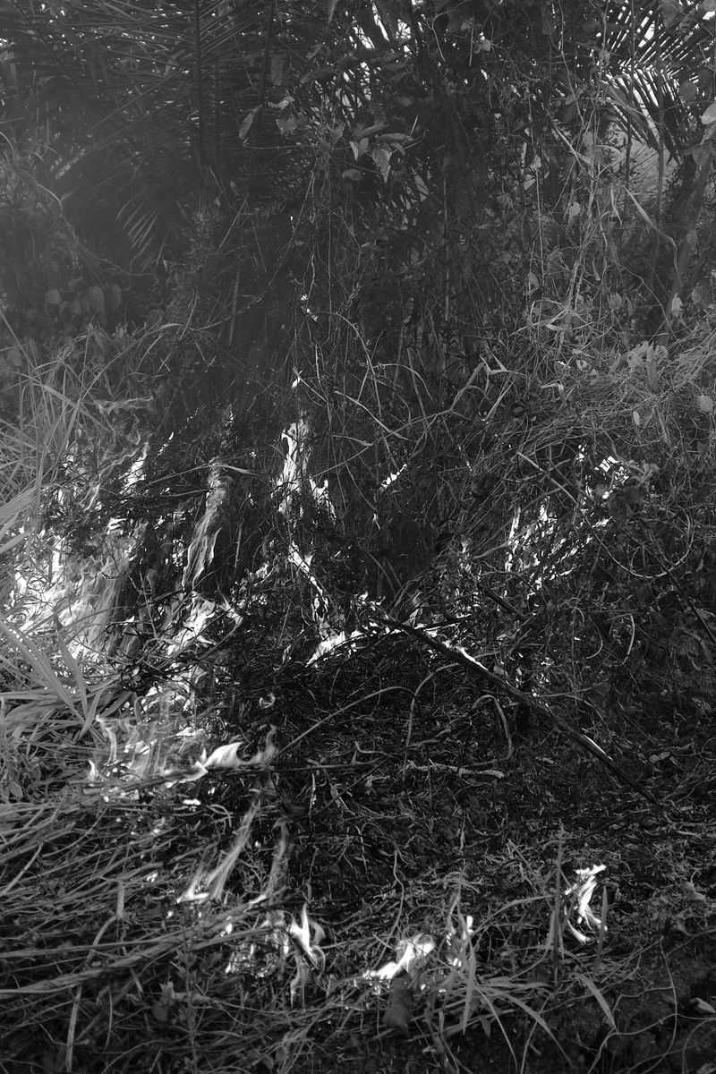 © Allan Salas - Image from the The Rooted Heart Began To Change photography project