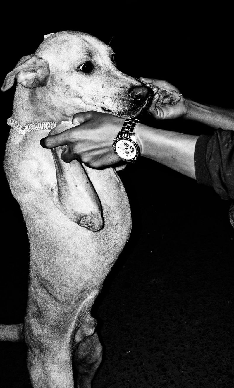 © Ashutosh Shaktan - Image from the Darkside of moon for which the moonflower longs photography project