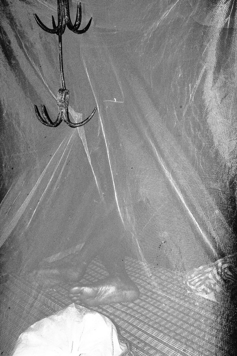 © Ashutosh Shaktan - Image from the Darkside of moon for which the moonflower longs photography project