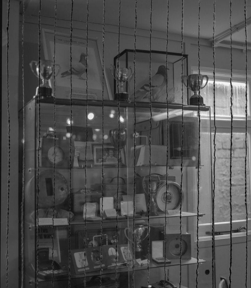 © Ashutosh Shaktan - Image from the Sub Rosa. photography project