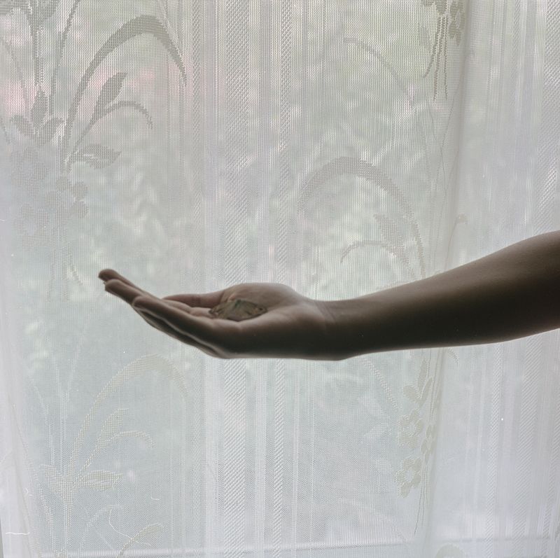 © Ashutosh Shaktan - Image from the Ministry of truth photography project