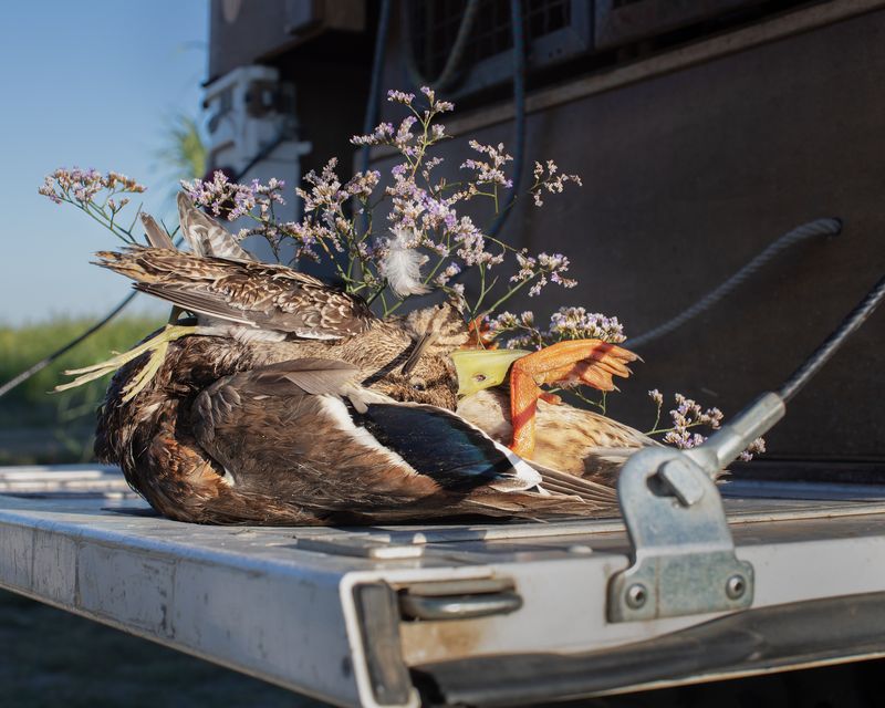 © Camille Farrah Lenain - Image from the The Waiting photography project