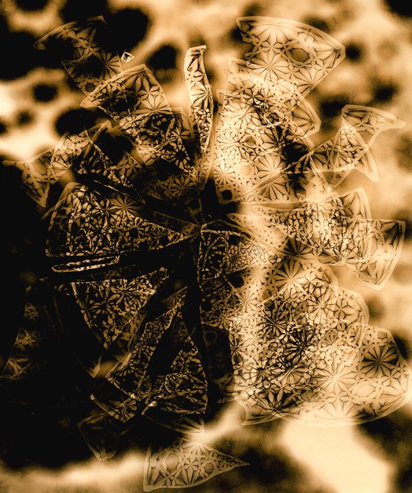 © Jo Stapleton - ©Jo Stapleton, 'smashed sweetie dish with liver cells’ (2022)