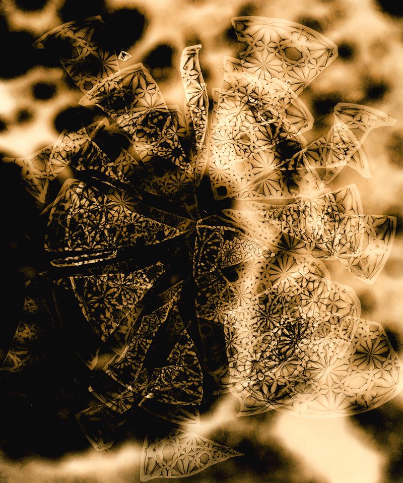 © Jo Stapleton - ©Jo Stapleton, 'smashed sweetie dish with liver cells’ (2022)