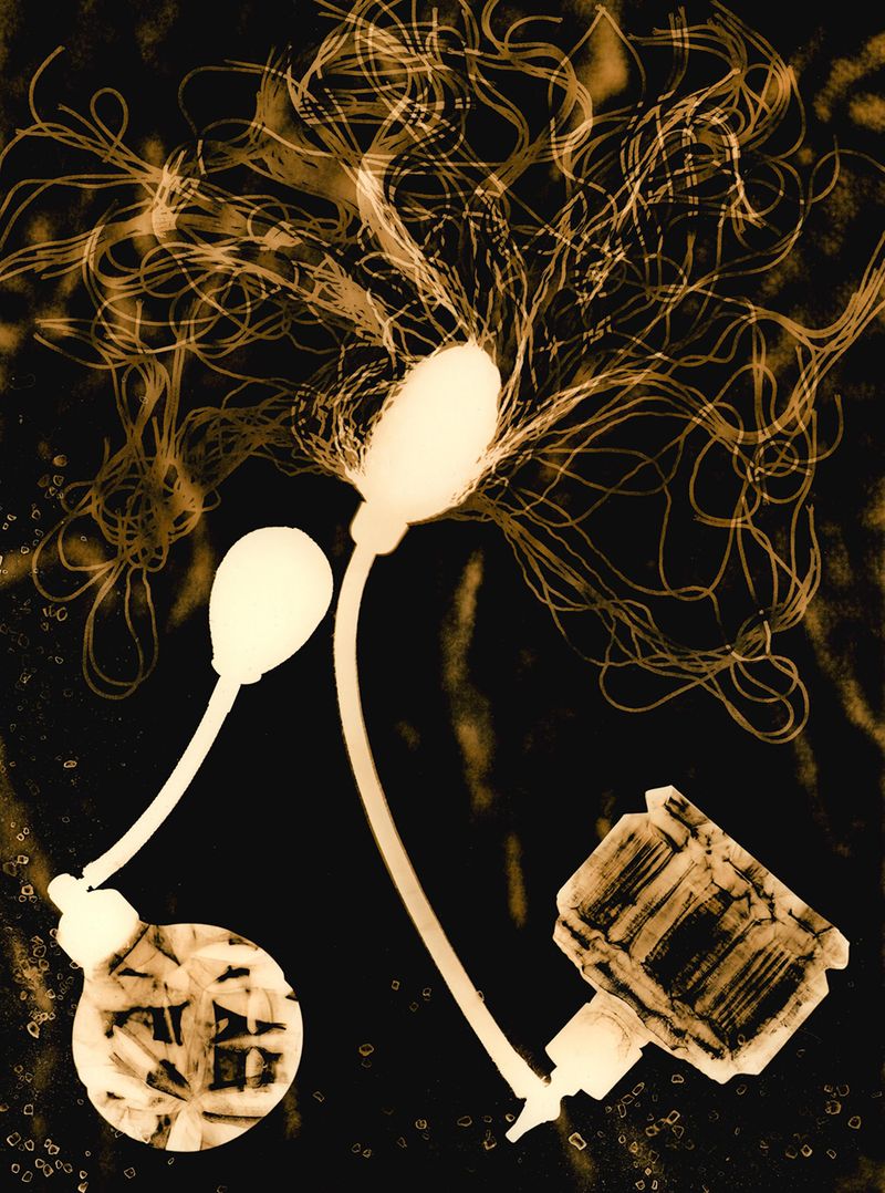 © Jo Stapleton - ©Jo Stapleton, 'two perfume atomisers and sea salt with embryonic mucous connecting tissue’ (2022)