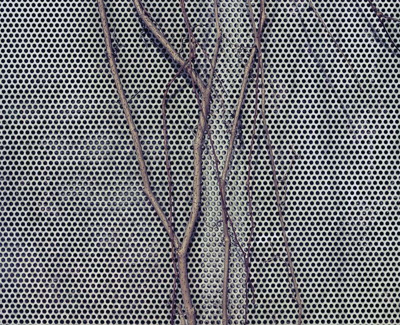 © Mark Martinko - Image from the Artificial green photography project