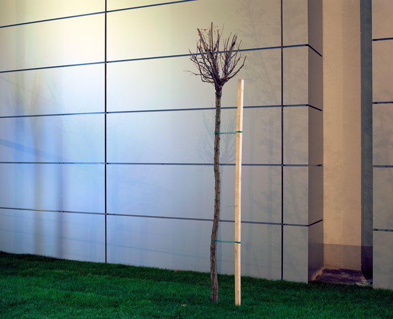 © Mark Martinko - Image from the Artificial green photography project