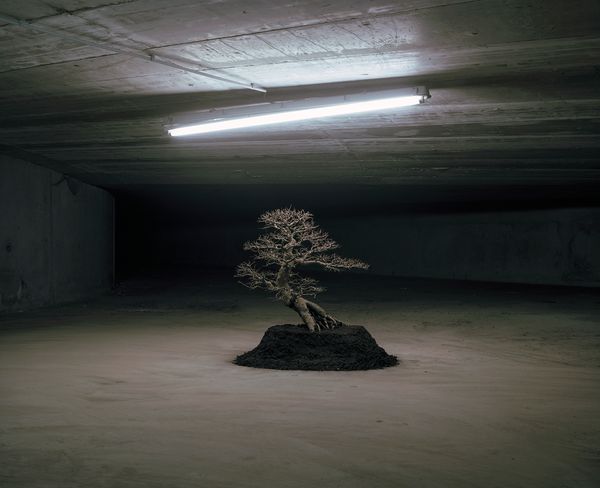 © Mark Martinko - Image from the Artificial green photography project